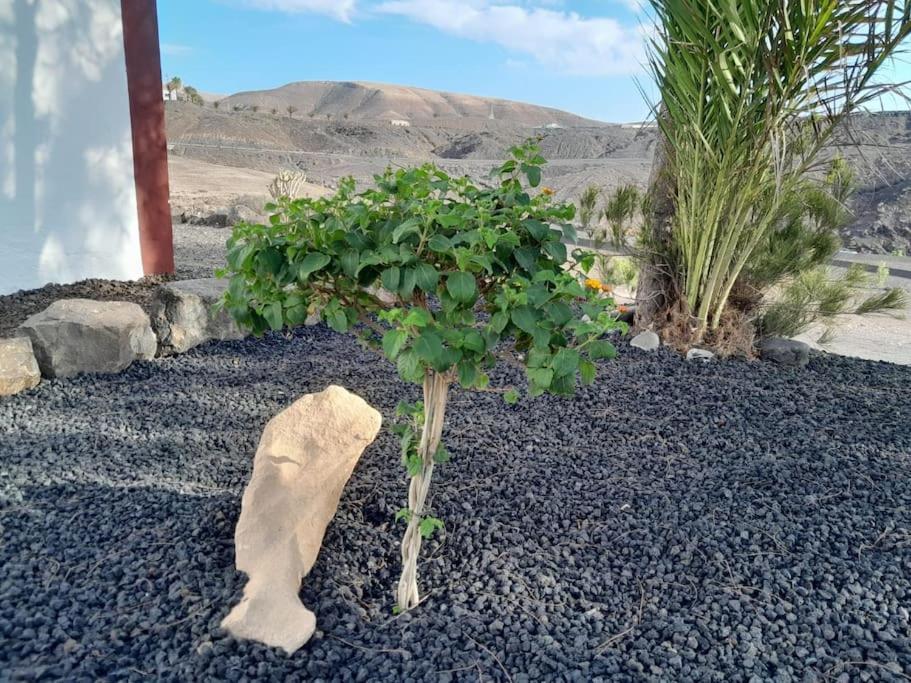 Вилла Casagrande Sunset II - Fuerteventura - Costa Calma Пайара Экстерьер фото